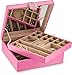Glenor Co Jewelry Box Organizer for girls - 28 Section - Modern Buckle Closure, Large Mirror & 2 Trays for Women & Teens - For Earring Ring Necklace Bracelet & Watch - Leather Design - Pink