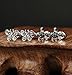 ORAZIO 2 Pairs Stainless Steel Turtle Earrings for Girls Women Butterfly Stud Earrings Screwback Silver Tone (A:Tortoise and Color Butterfly)