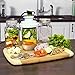 FoodSaver T03-0023-01P Wide-Mouth Jar Sealer