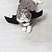 Halloween Pet Bat Wings Cat Dog Bat Costume