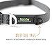 Mighty Paw Dog Collar - High Visibility - Reflective Stitching - Adjustable Dog Collar with Buckle - Durable Dog Collar - Premium Puppy Collar - Suitable for All Dog Sizes - Personalized Dog Collars