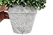 Silk Road Home Artificial Boxwood Topiary Ball Table Top Plant with Decorative Pot 8 inches Tall Realistic Indoor Faux Decor (8 Inches)