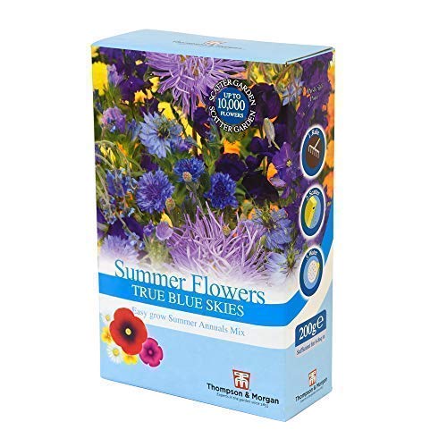True Blue Skies Garden Plant Summer Annuals Scatter Pack Garden Plants Easy to Grow Your Own 1x 200g Scatter Pack by Thompson and Morgan