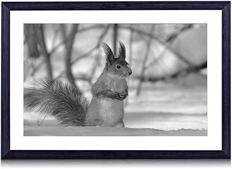 Amazon Co Jp 雪の中でかわいいリス 動物 白黒の絵画 装飾画 壁飾り アートパネル インテリアアート 木製の枠 壁ポスター モダン 現代壁の絵 額縁付きの完成品 横 30 40cm ホーム キッチン