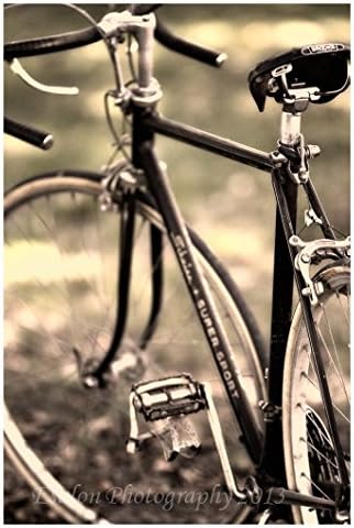 Classic Schwinn bicycle. cycling, Brooks seat saddle road bicycle original print