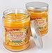 Specialty Pet Products Orange Lemon Splash 13 Oz. Pet Odor Exterminator Candle 2-Pack