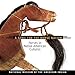 Song for the Horse Nation: Horses in Native American Cultures by