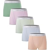 BAMBOO COOL Womens Bamboo Boxer Briefs Underwear Soft Stretch Boy Shorts Panties for Women