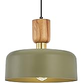 Contemporary Pendant Lighting,12 inch Pendant Lamp,Wood and Brass Accent,Adjustable Metal Hanging Light Fixture for Kitchen, 