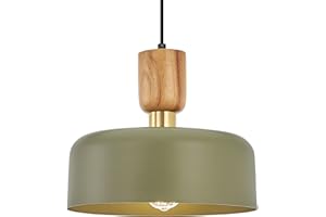 TEHENOO Contemporary Pendant Lighting,Large Pendant Lamp,Wood and Brass Accent,Adjustable Metal Hanging Light Fixture for Kitchen, Dining Room, Green