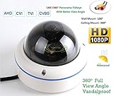 180/360˚ Panorama View Angle 700TVL 1/3 1/3" Sony Super HAD II CCD Double Scan Indoor/Outdoor Dome Security Camera, Advanced DSP to Offer High Image Quality