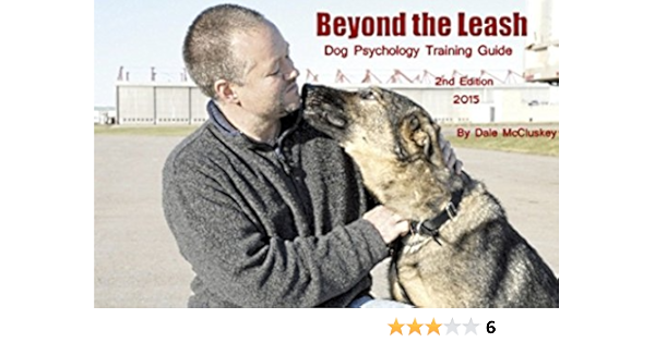 beyond the leash k9