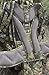 Eberlestock Gunslinger II Pack