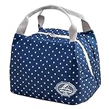 GBSELL Portable Insulated Cold Canvas Print Stripe Picnic Carry Case Thermal Lunch Bag (D)