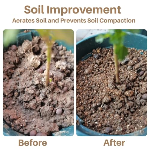 Organic Vermiculite 14.6 oz - Fine 1-3mm Granules for Gardening, Professional Soil Amendment, Ideal for Potted Plants and Horticulture, Bulk Pack (14.6Oz)