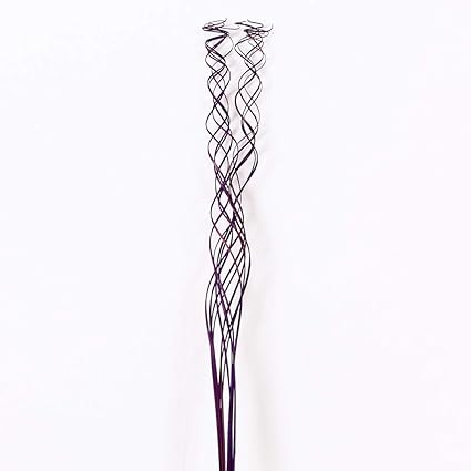 Leewadee Dried Coloured Twisted Twig Bunch For Floor Vases