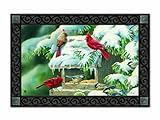 Magnet Works MAIL15973 Winter Feeder Mat Mate