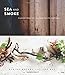 Sea and Smoke: Flavors from the Untamed Pacific Northwest - Book by Blaine Wetzel
