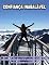 Livro Confiança inabalável: Descubra como os maiores empreendedores do mundo dominam todos os aspectos de sua vida com confiança inabalável