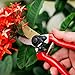 Professional Pruning Shears with Titanium Coated Blades - Lightweight Gardening Tools for Comfortable Use - Find Your Green Thumb with Rust Resistant Cutters That Stay Sharp Longer