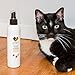 Easyology Pets 8 oz Corigem Serum Spray | Pet Wound Itch, and Infection Skin Care | Antiseptic