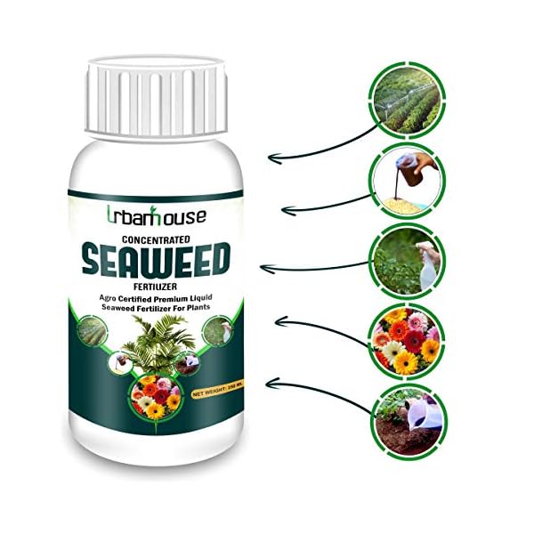 Urbanhouse Concentrate Liquid Seaweed Fertilizer for Plants with Measuring Cup, 25 Ml - 250 Ml - Image 3