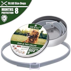 jianghui - Collare Anti-pulci per Cani jianghui jianghui - Collare Anti-pulci per Cani