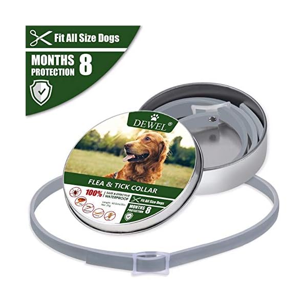 jianghui - Collare Anti-pulci per Cani jianghui jianghui - Collare Anti-pulci per Cani