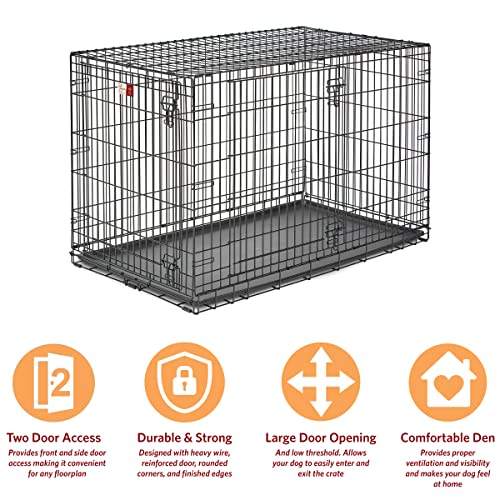 XL Dog Crate MidWest Life Stages Double Door Folding Metal Dog Crate