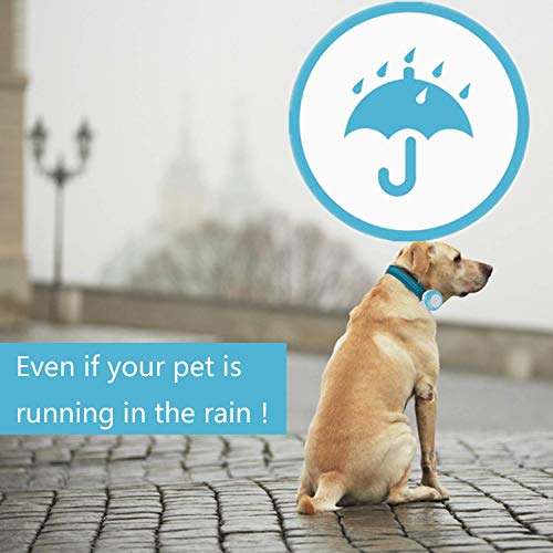 tkstar gps dog tracker