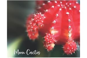Moon Cactus: Red Cactus Image, 5.5x8.5 College Ruled Writing Journal