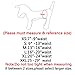 Vecomfy Dog Belly Bands for Male Dogs Diapers(5 Pack),Premium Washable Reusable Small Dog Belly Wrap Leakproof Puppy Diapers,S