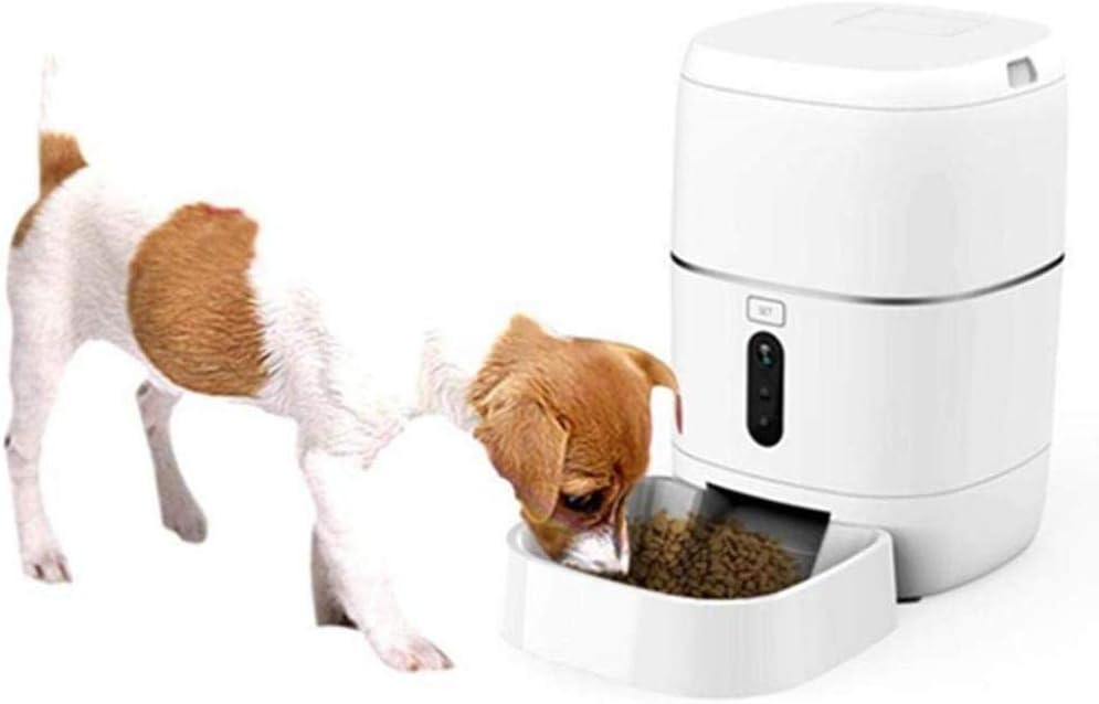 time feeders for dogs