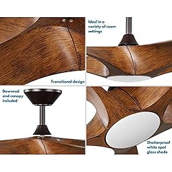 Progress Lighting Vernal Collection 60-Inch 5-Blade