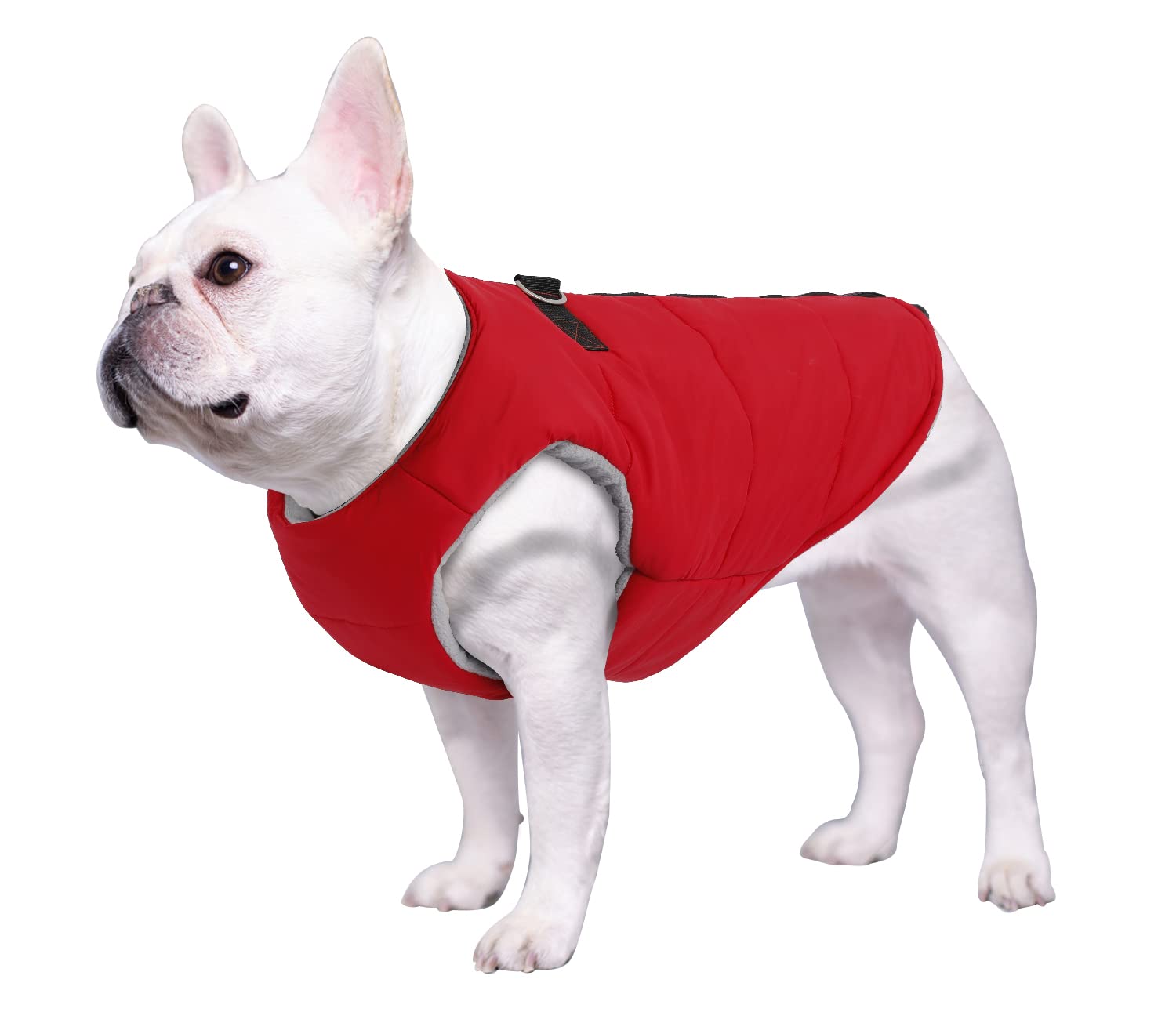 Geyecete Dog french bulldog clothes Dog Cotton Padded Coat Thick Zipper Pet Clothing French Bulldog Pug Dog Clothes Vest Winter Warm Clothing-Red-S