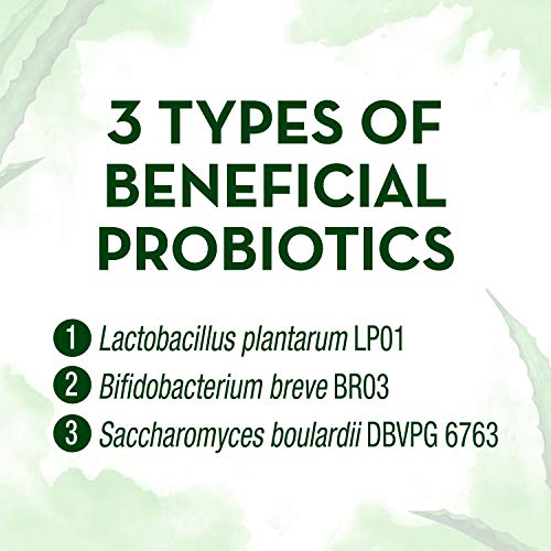 Align Probiotic, Whole Food Blend, 1 Doctor Brand, Multi