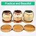 Frienda Trays 2.52 Inch Bamboo Round Plant Saucer for Most Plant Pot Flower Saucers Tray, Solution for Owl Pot with Hole(6 Pack)