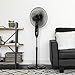 Best Choice Products 16in Adjustable Oscillating Standing Pedestal Fan w/ 7.5 Hour Timer, Double Blades, Remote Control, 3 Fan Modes, Front/Back Tilt, Black