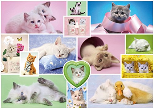 Schmidt Spiele Puzzle 58230 Puzzle 1.000 Teile, Schmusekatzen – Bild 3