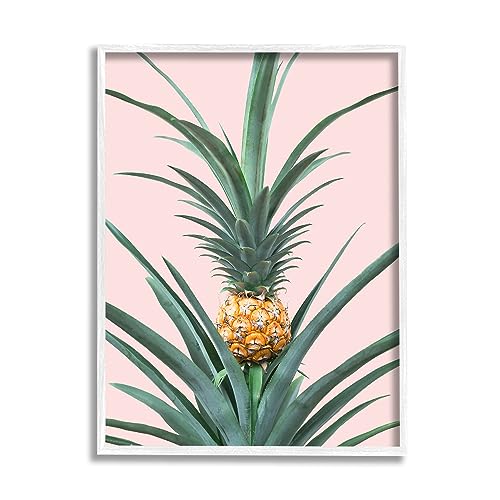 Stupell Industries Pineapple Plant on Pink White Framed Giclee Art Design by Si…
