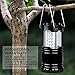 MagicBuds Portable Outdoor LED Camping Lantern with 6 AA Batteries 2 Pack (Black, Collapsible)