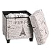 SONGMICS Storage Ottoman, Padded Folding Bench, Chest with Lid, Solid Wood Feet, Space-Saving, Holds up to 660 lb, Eiffel Tower Pattern ULSF14X