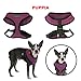 Puppia Soft Dog Harness No Choke Over-The-Head Triple Layered Breathable Mesh Adjustable Chest Belt and Quick-Release Buckle, Purple, Medium