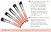 ACEVIVI Professional 10pcs Premium Synthetic Kabuki Makeup Brush Set Foundation Blending Cosmetic Brushes Essential Kit Pink + Silver