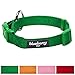 Blueberry Pet 6 Colors Better Basic Dog Collar, Light Emerald Green, Small, Neck 12