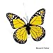 CNZ Fluttering Solar Battery Powered Butterfly with Ground Spike, Monarch Yellow