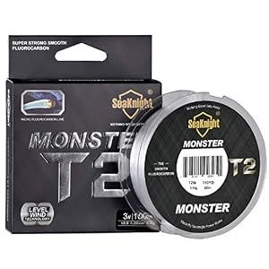Seaknight T2 Fluorocarbone Peche Carpe Ligne De Guidage Invisible De Fluo Fil De Pêche 100m/110yds