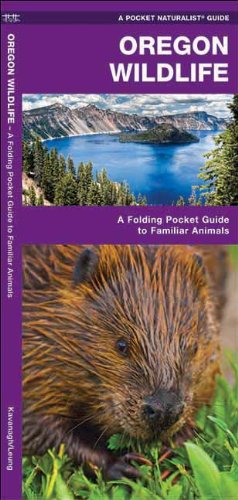 Oregon Wildlife: A Folding Pocket Guide to Familiar Species (Pocket Naturalist Guide Series)