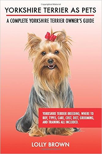 Yorkshire Terrier as Pets: Yorkshire Terrier Breeding, Where to Buy, Types, Care, Cost, Diet, Grooming, and Training all  �y�[�p�[�o�b�N - 2017/2/6