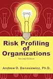 Risk Profiling of Organizations